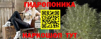 соль ск Кингисепп