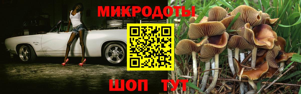 Псилоцибиновые грибы Cubensis  Вход с VPN  Галлюциногенные грибы мухоморы  Буйнакск 